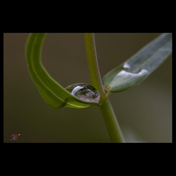 PHOTO84, CLUB, 84 , LUBERON